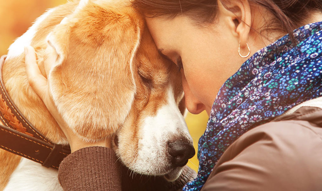 Melhore a Qualidade de Vida para Você e Seu Cão
